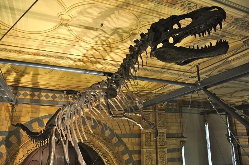 Museu de História Natural em Londres 