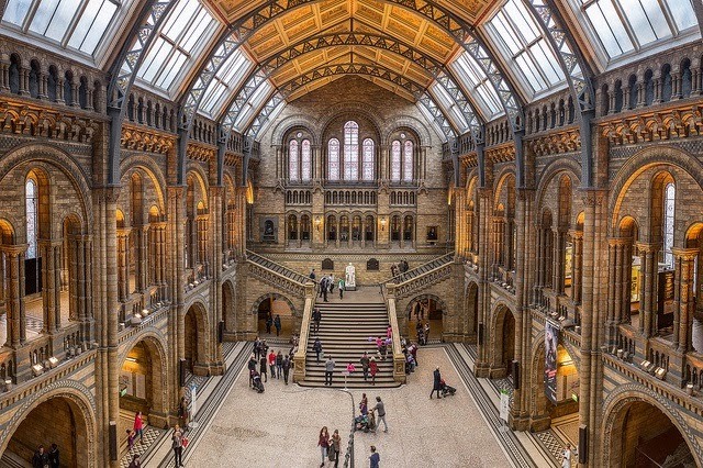 Museu de história natural em Londres