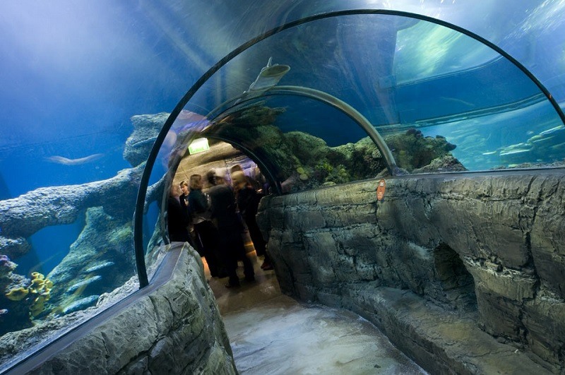 London Sea Life Aquarium