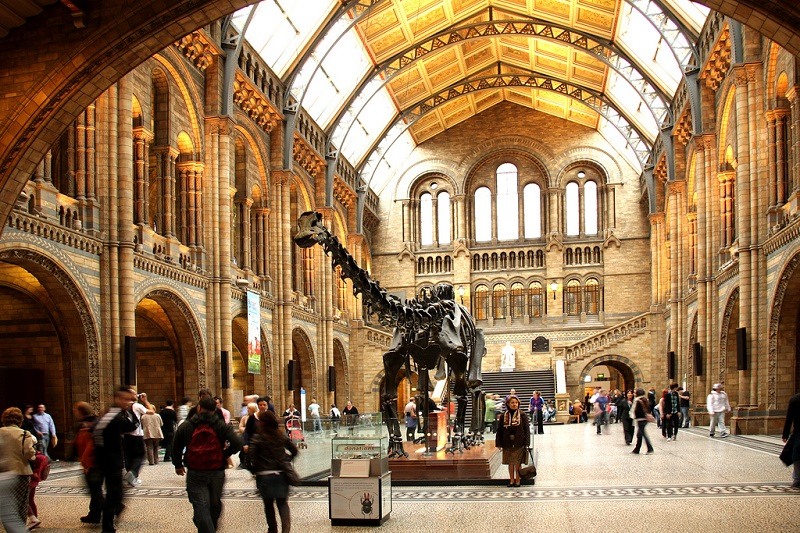 Natural History Museum em Londres