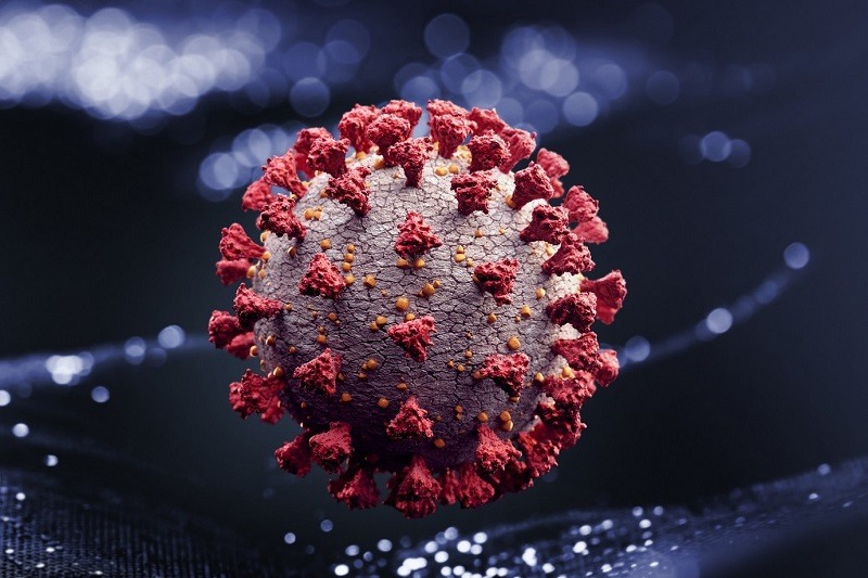 Imagem do coronavírus