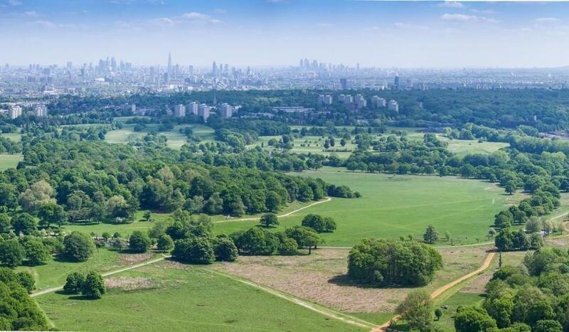 Área verde no Richmond Park em Londres