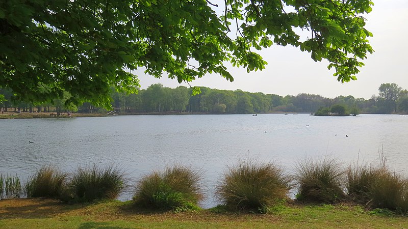 Lago no Richmond Park em Londres